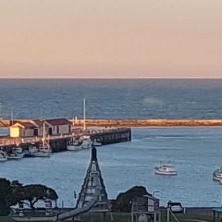 Oamaru Pink Cottage المظهر الخارجي الصورة