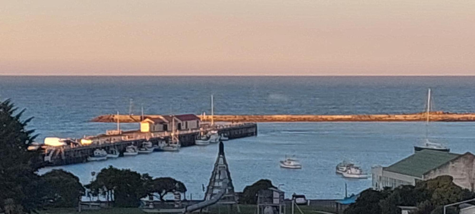 Oamaru Pink Cottage المظهر الخارجي الصورة